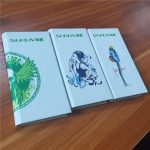Powerbank Baskı Kaplama